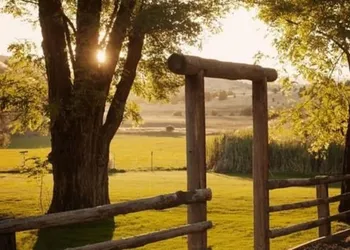 Wilson Ranches Retreat hotel thumbnail 5