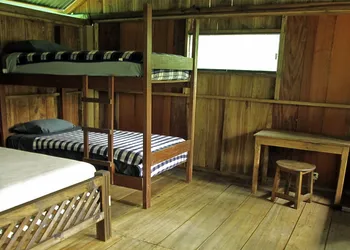 Campamento Rio Lacanja hotel thumbnail 7