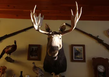 Montana Hill Guest Ranch hotel thumbnail 6