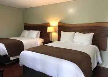 Adventure the Bruce Inn - Recently Renovated With Outdoor Hot Tub hotel thumbnail 2