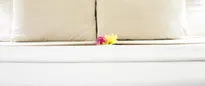 Hotel thumbnail 2