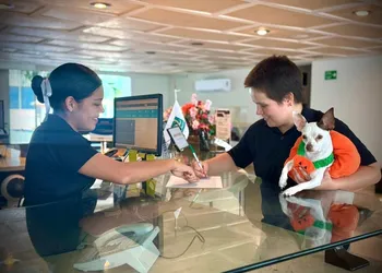 Quality Inn Mazatlan hotel thumbnail 3