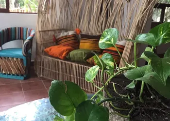 Ecovergel Riviera Maya Hotel Boutique hotel thumbnail 4