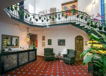Orchid House Mexico City hotel thumbnail 5