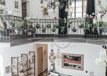 Orchid House Mexico City hotel thumbnail 6