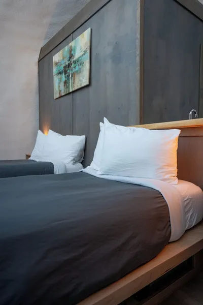 Borealis Basecamp hotel detail image 6