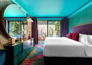 Pug Seal Polanco Anatole France hotel thumbnail 6