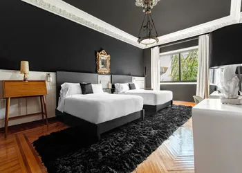 Pug Seal Polanco Anatole France hotel thumbnail 8