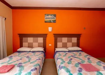Hotel los Arcos hotel thumbnail 7