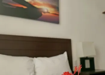 ZenHarmony Suites hotel thumbnail 7