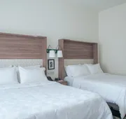 Holiday Inn Tlaxcala by IHG hotel detail image 7