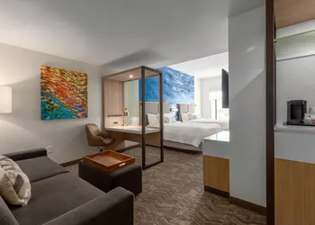 SpringHill Suites by Marriott Bradenton Downtown/Riverfront hotel thumbnail 6