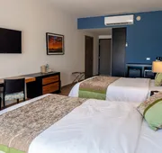 Sawari Hotel hotel detail image 4