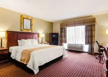 Precious Hotel hotel thumbnail 4