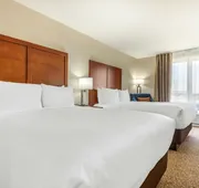Comfort Inn & Suites hotel detail image 7