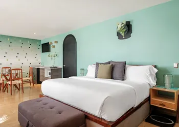 Pug Seal Polanco Allan Poe hotel thumbnail 7
