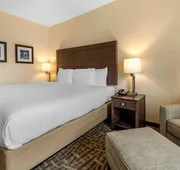Comfort Inn & Suites Pittsburgh-Northshore hotel detail image 5