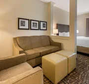 Comfort Inn & Suites Pittsburgh-Northshore hotel detail image 7