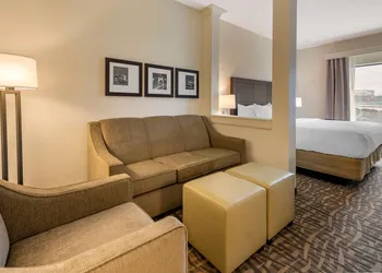 Comfort Inn & Suites Pittsburgh-Northshore hotel thumbnail 7
