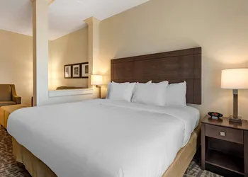 Comfort Inn & Suites Pittsburgh-Northshore hotel thumbnail 8