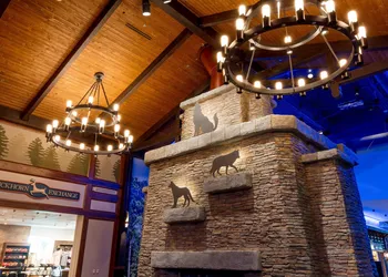 Great Wolf Lodge Illinois hotel thumbnail 2
