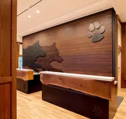 Great Wolf Lodge Illinois hotel detail image 5