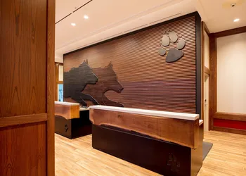Great Wolf Lodge Illinois hotel thumbnail 5