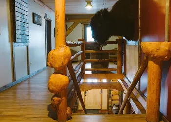 Arctic Divide Lodge hotel thumbnail 2