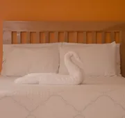 Suites Ejecutivas Los Arcos hotel detail image 4
