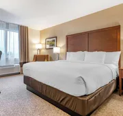Comfort Inn & Suites hotel detail image 5