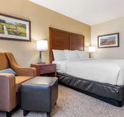 Comfort Inn & Suites hotel detail image 7