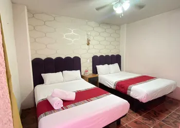 Hotel Flamingos hotel thumbnail 7