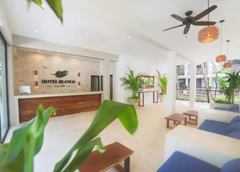 Hotel Blanco Tulum - Adults Only hotel thumbnail 6