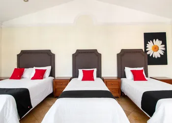 Capital O Hotel San Jose, San Luis PotosÃ­ hotel thumbnail 4