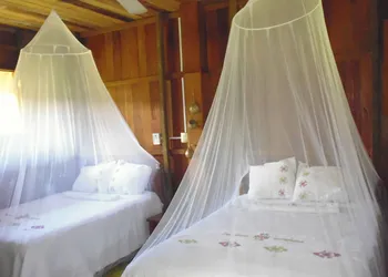 Hotel Nueva Alianza hotel thumbnail 6