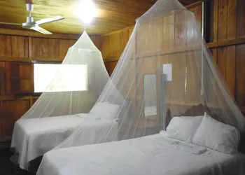 Hotel Nueva Alianza hotel thumbnail 7