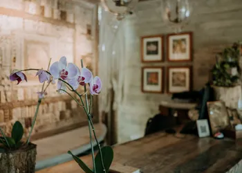 Orchid House Tulum Jungle hotel thumbnail 5