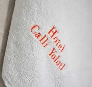 Hotel Calli Yolotl hotel detail image 5