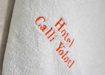 Hotel Calli Yolotl hotel thumbnail 5