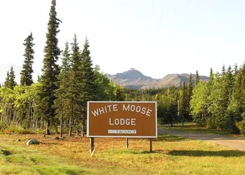 White Moose Lodge hotel thumbnail 6