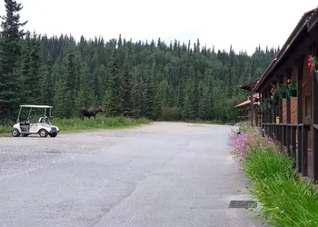 White Moose Lodge hotel thumbnail 7