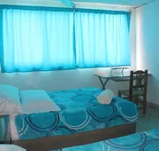 Basic-Hotel hotel detail image 5