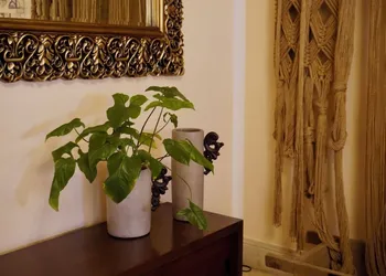 Casa Tavera hotel thumbnail 4