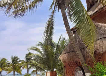 Cabañas Palmeras de Mahahual hotel thumbnail 2