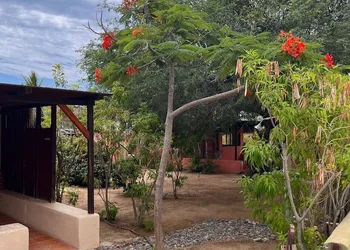 Cabo Pulmo Beach Resort hotel thumbnail 3