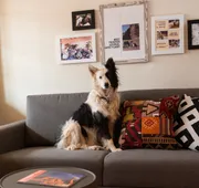 Best Friends Roadhouse and Mercantile hotel detail image 5