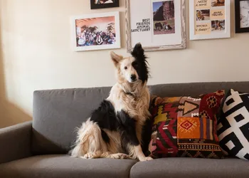 Best Friends Roadhouse and Mercantile hotel thumbnail 5