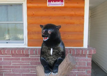 Falls Motel hotel thumbnail 8