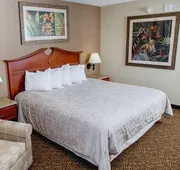 Treasure Island Resort & Casino hotel detail image 3