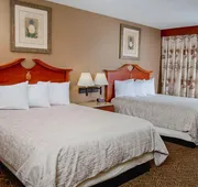 Treasure Island Resort & Casino hotel detail image 4